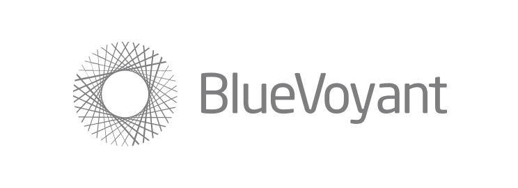 BlueVoyant